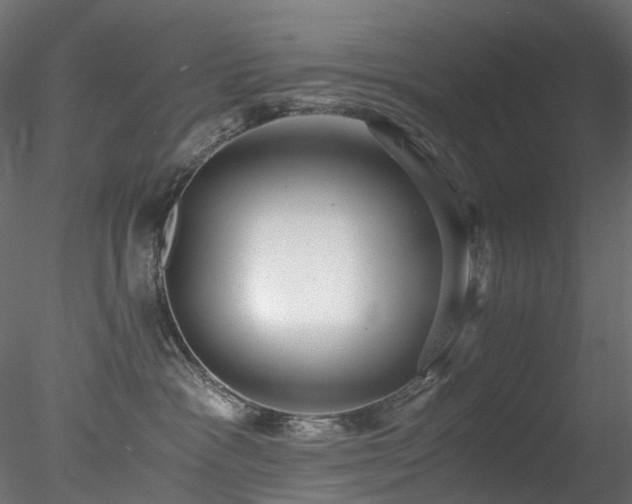 X0000078280333200611031215