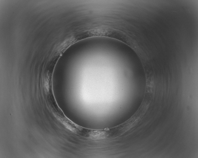 X0000078280334200611031215