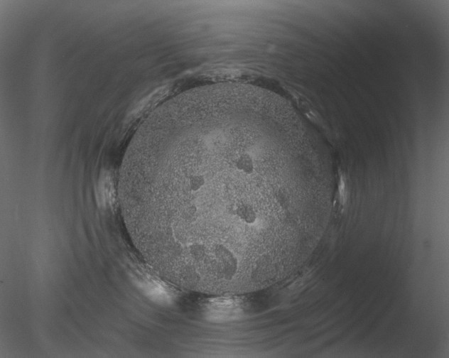 X0000078280335200611031215