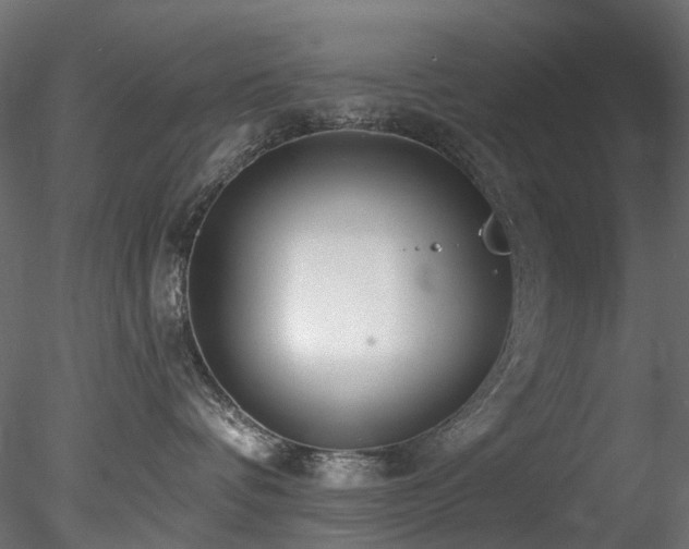 X0000078280336200611031215