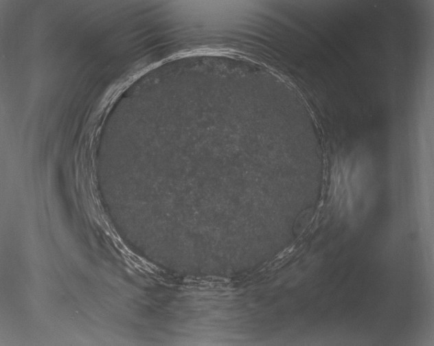 X0000078280337200611031214