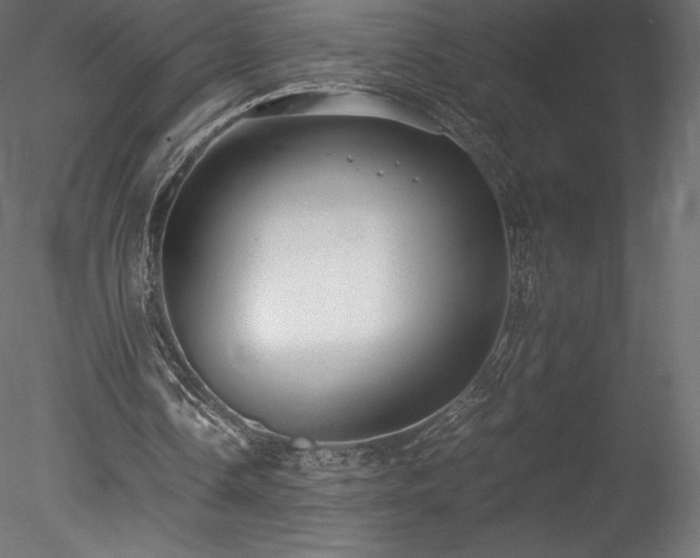 X0000078280338200611031214