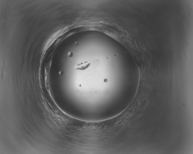 X0000078280340200611031214