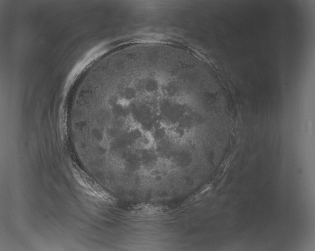 X0000078280343200611031214