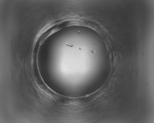 X0000078280344200611031214