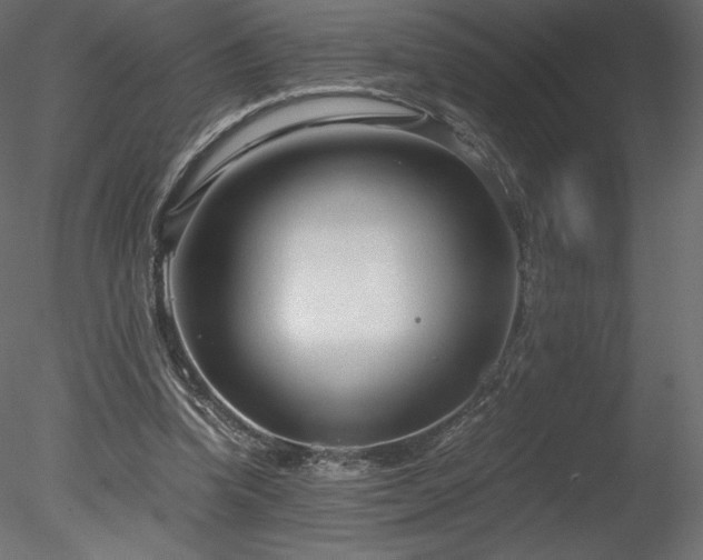 X0000078280346200611031214