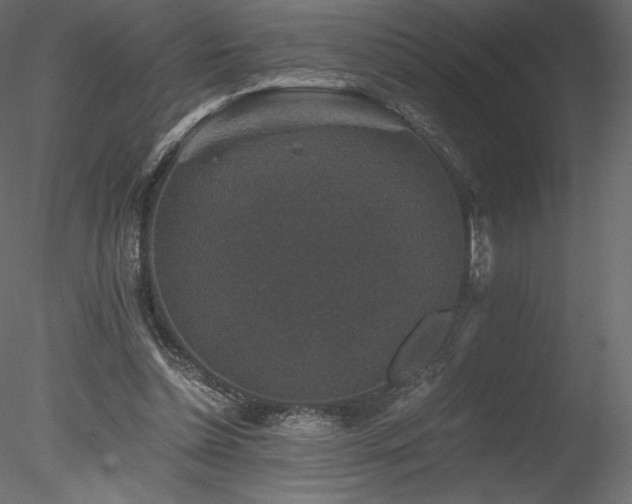 X0000078280348200611031214