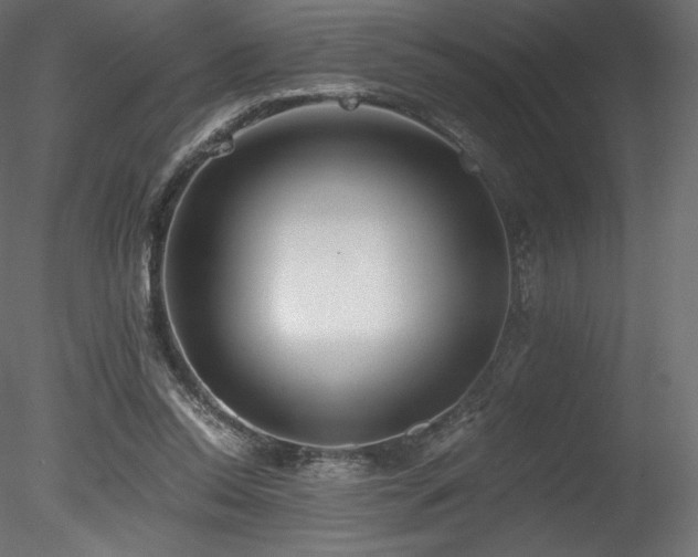 X0000078280350200611031214