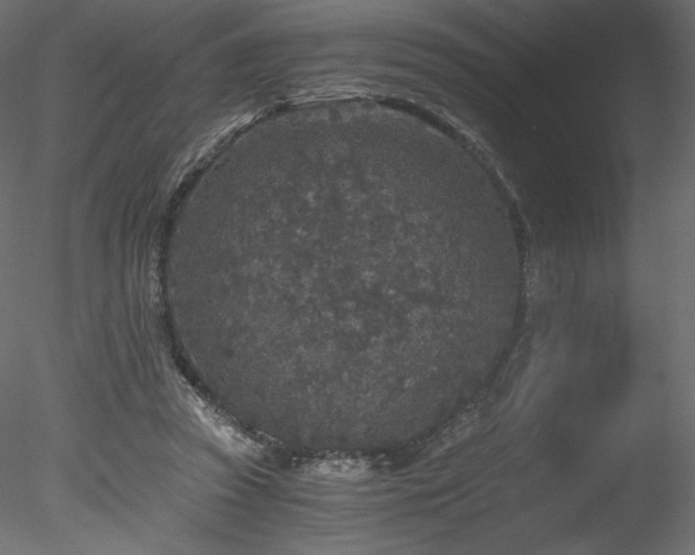 X0000078280353200611031214