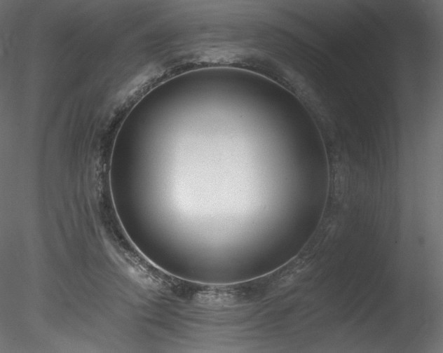 X0000078280354200611031214