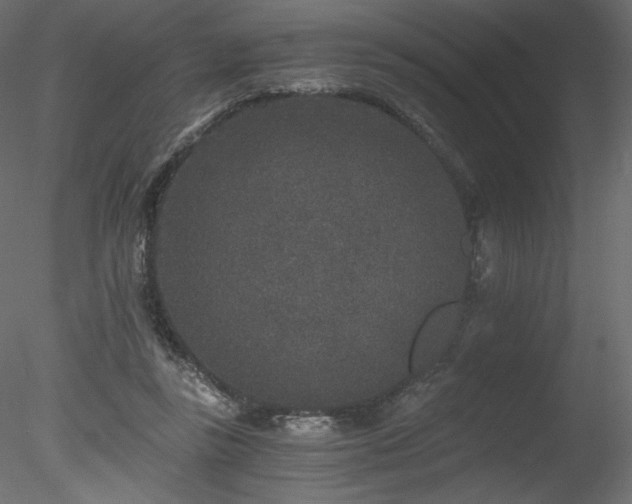 X0000078280355200611031214