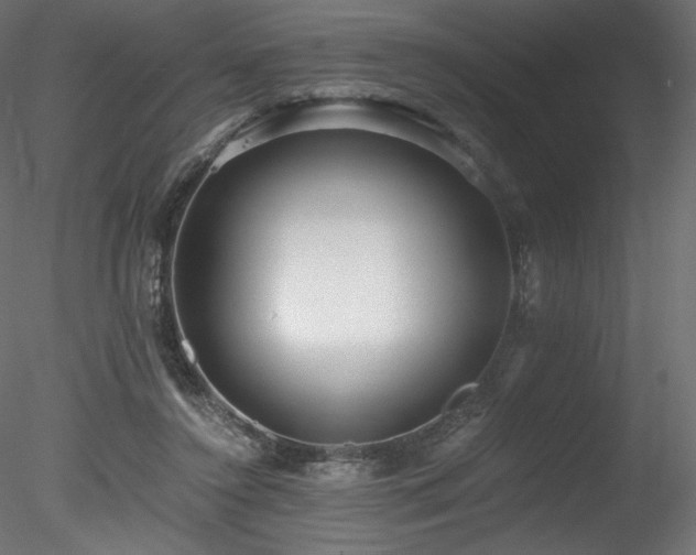 X0000078280356200611031214