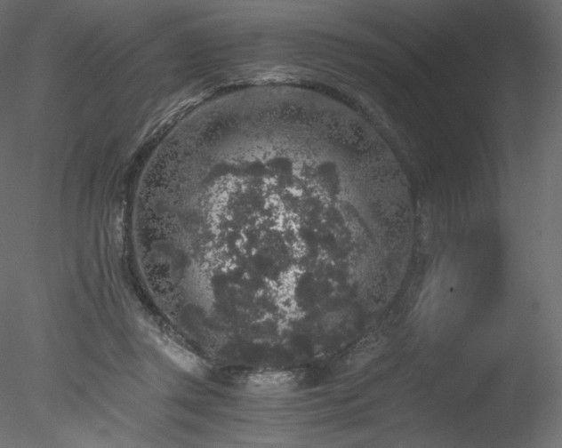 X0000078280357200611031214