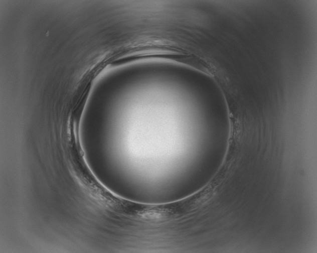 X0000078280358200611031214