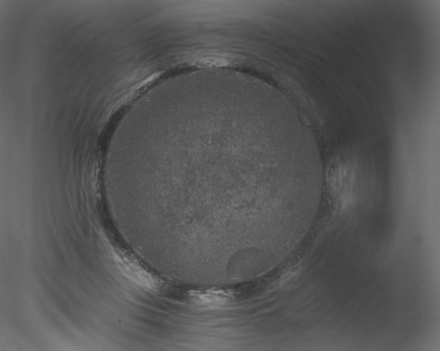 X0000078280359200611031214