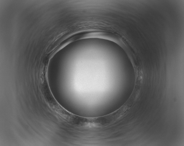 X0000078280360200611031214