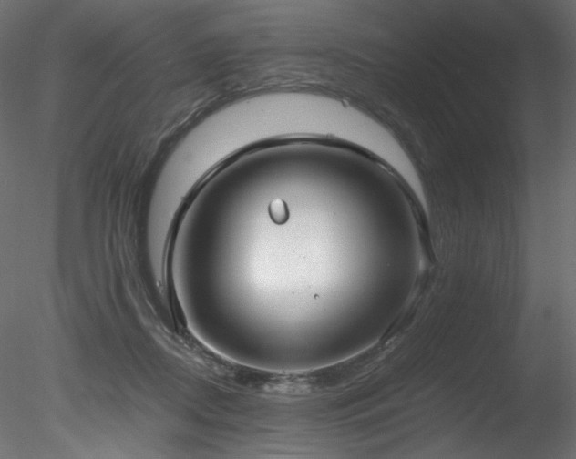 X0000078280362200611031214