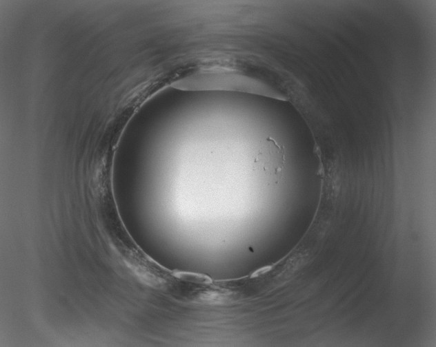 X0000078280364200611031214