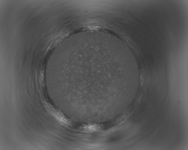 X0000078280365200611031214