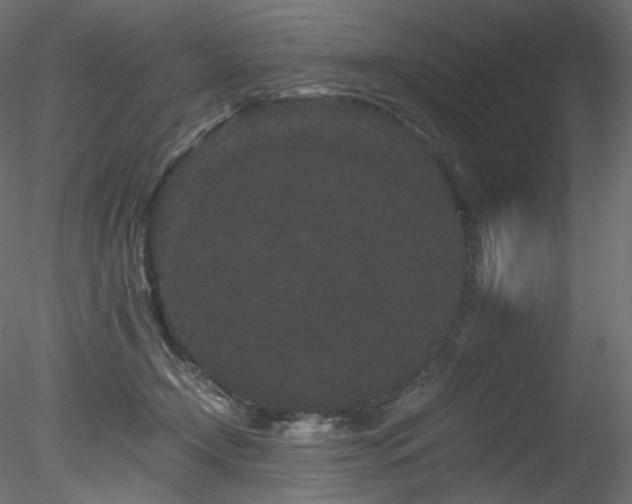 X0000078280366200611031214