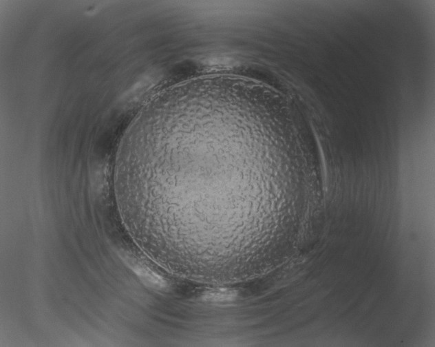 X0000078280369200611031214