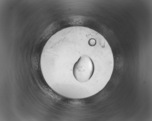 X0000078280370200611031214