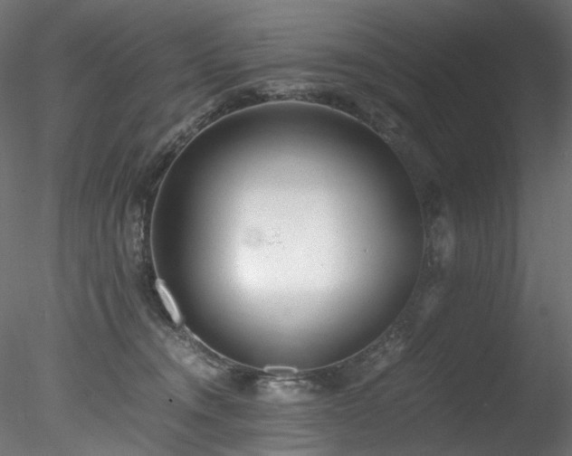 X0000078280372200611031214