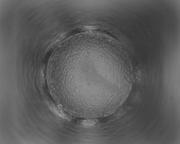 X0000078280373200611031215