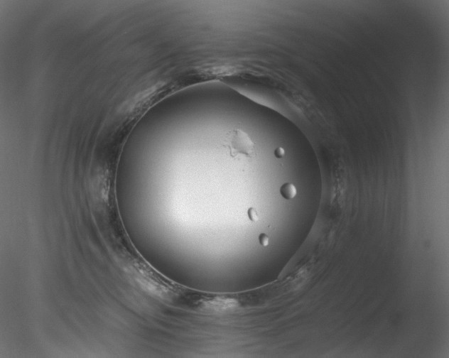 X0000078280374200611031215