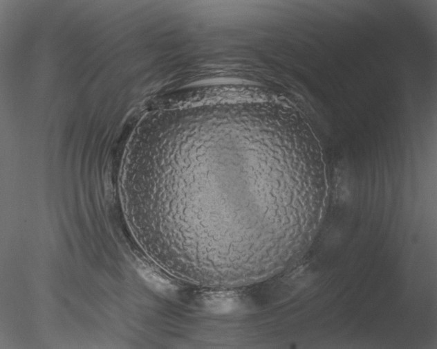 X0000078280377200611031215