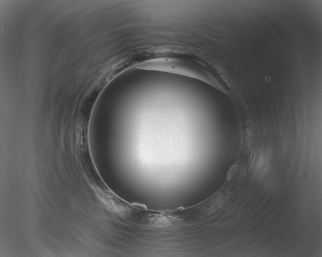 X0000078280379200611031215