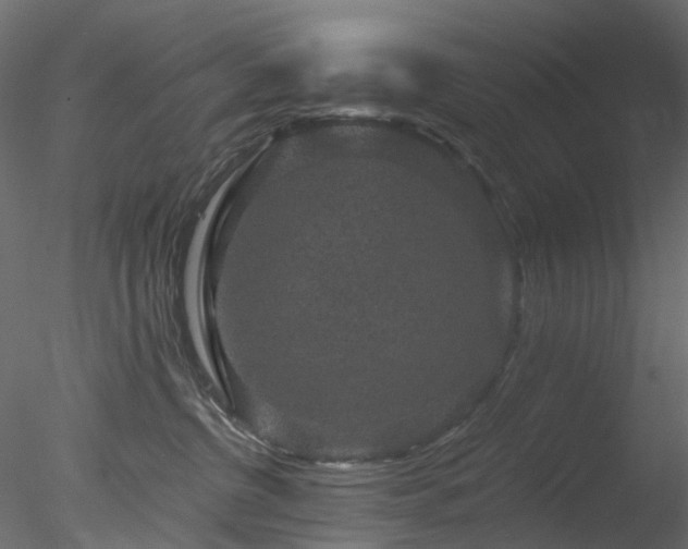 X0000078280380200611031215