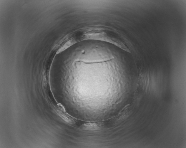 X0000078280381200611031215