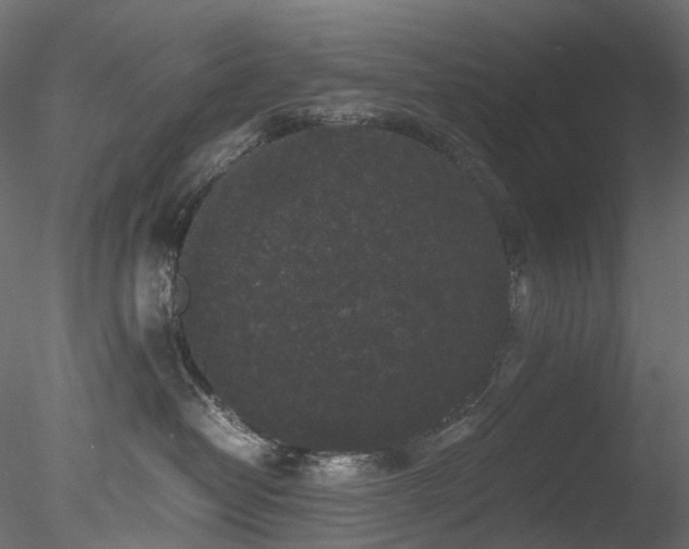 X0000078280382200611031215