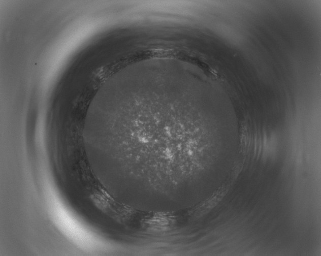 X0000078280383200611031215