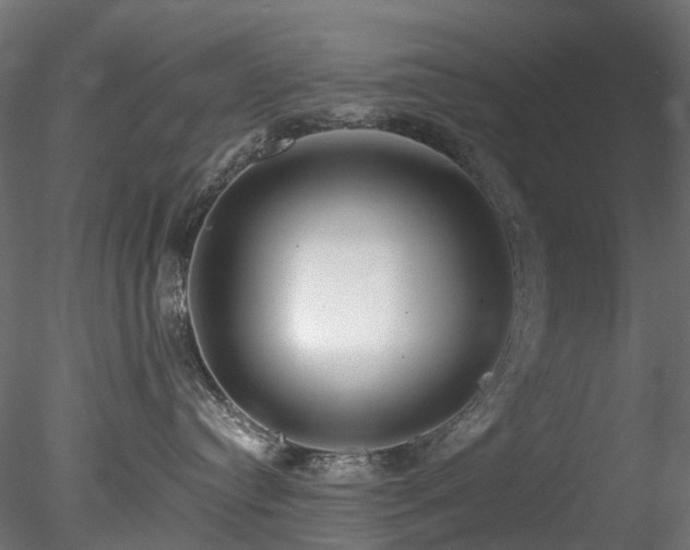 X0000078280384200611031215