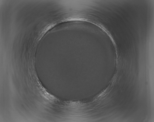 X0000078280385200611031214