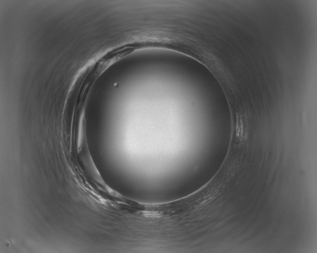 X0000078280388200611031214