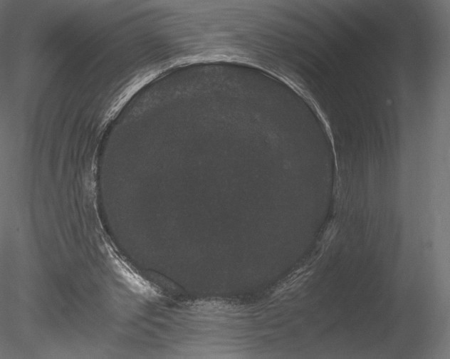 X0000078280389200611031214