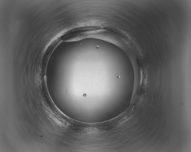 X0000078280392200611031214