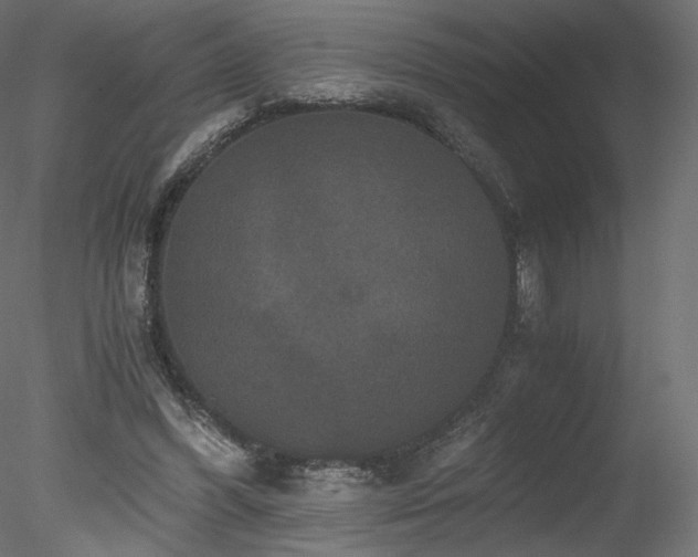 X0000078280396200611031214