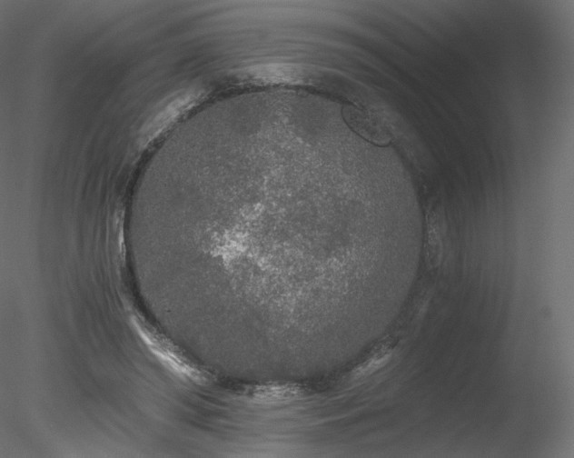 X0000078280398200611031214