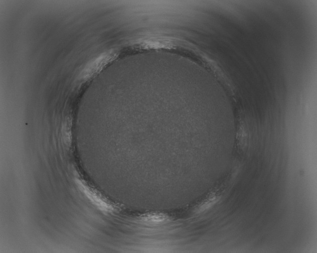 X0000078280402200611031214