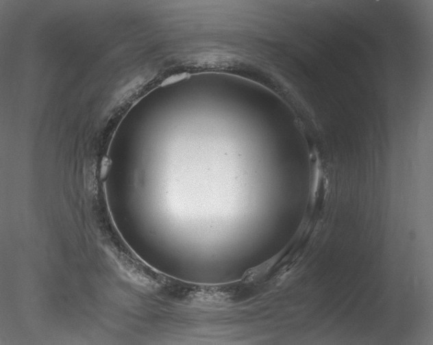 X0000078280403200611031214