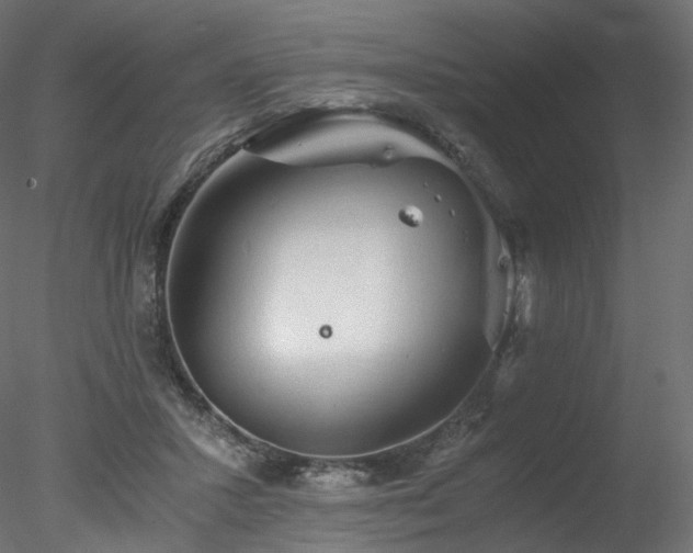 X0000078280407200611031214