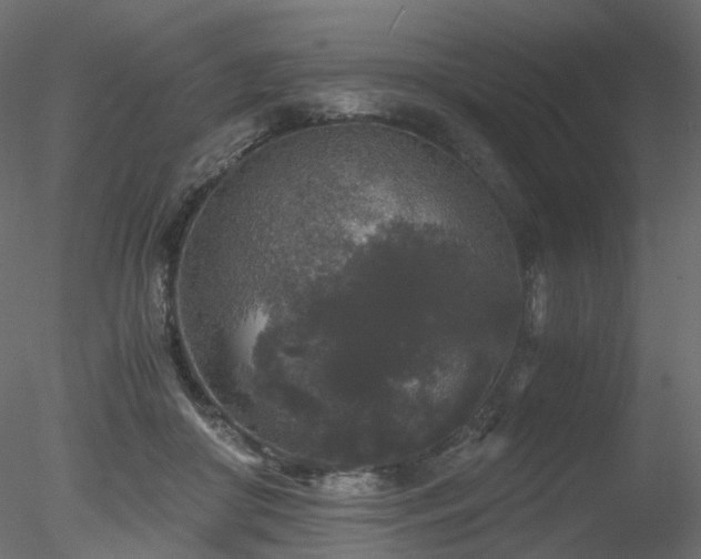 X0000078280410200611031213