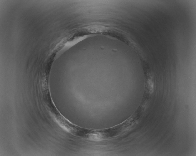 X0000078280411200611031213