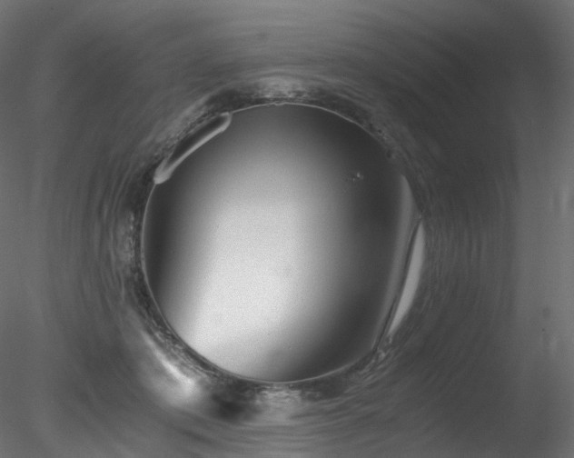 X0000078280413200611031213