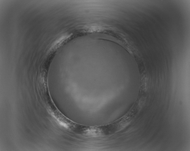 X0000078280415200611031213