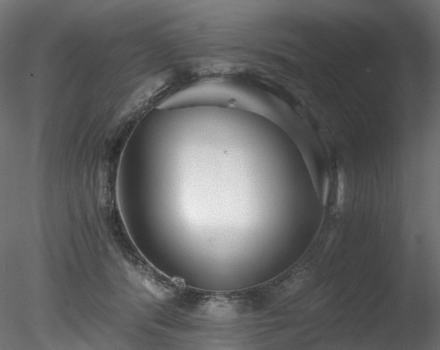 X0000078280416200611031213